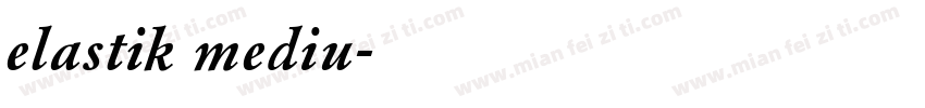 elastik mediu字体转换